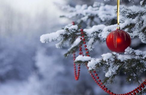 Color image of ornament and beads hanging from tree in the snow Color image of ornament and beads hanging from tree in the snow